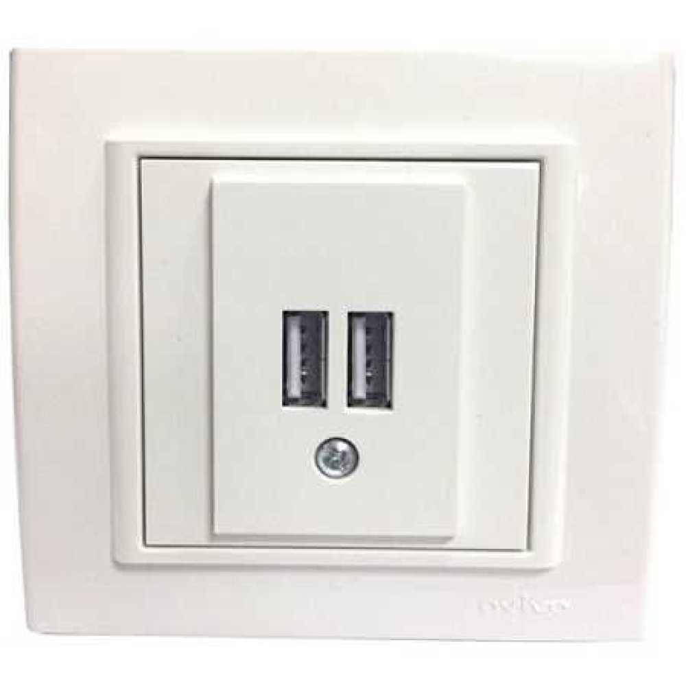 Priz 2xusb mina bardh ovivo