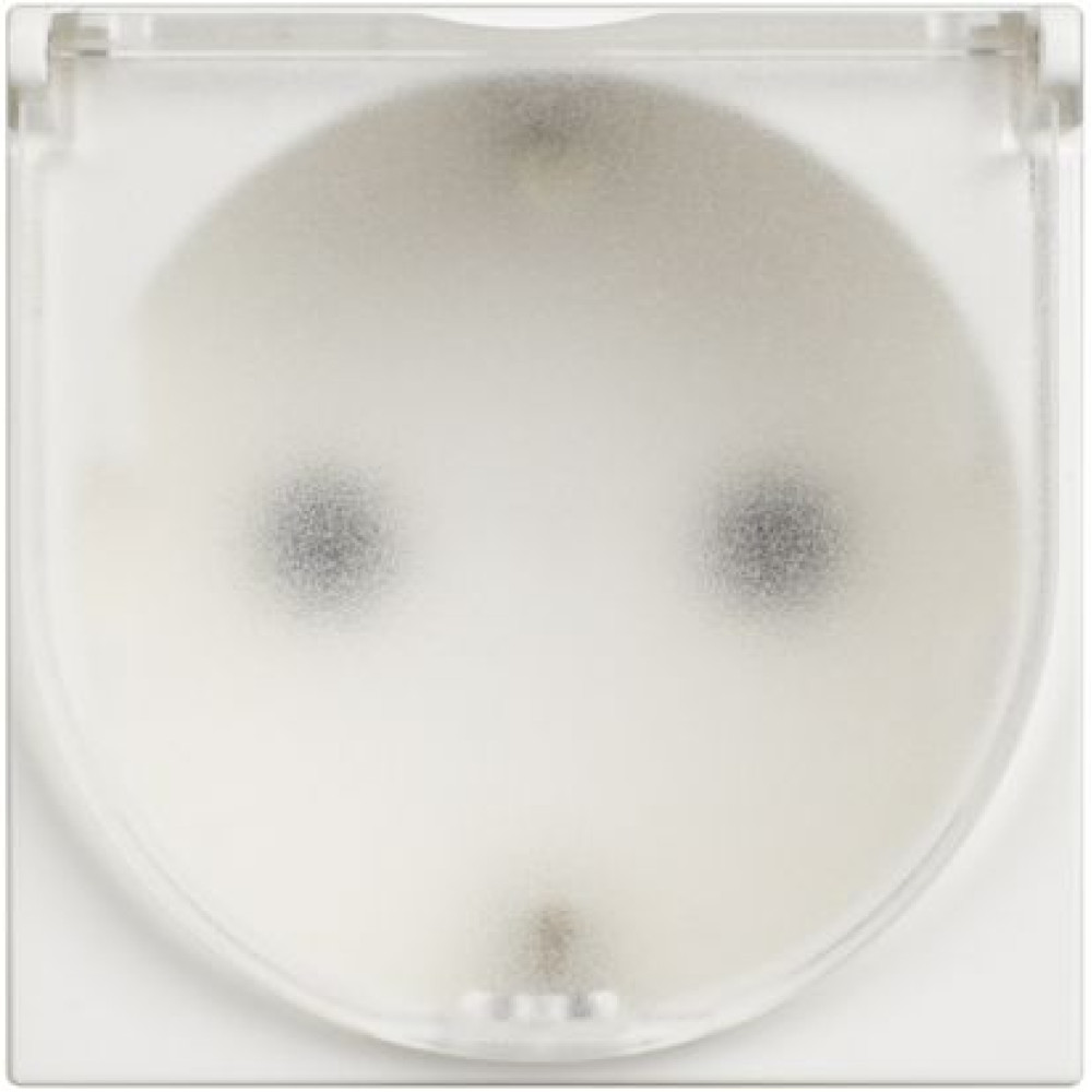 L-RW4141C CL Prizë me kapak 2P+T 16A 2M Bardhe