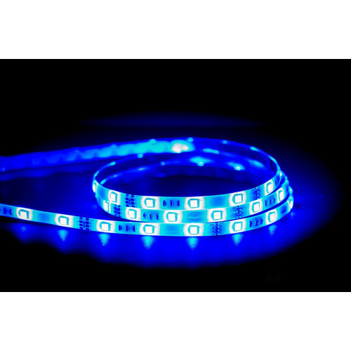BS01-00409 BEGHLER-ECOLINE-14.4W-60LED-5050-RGB-12VDC-IP54-LED STRIP LIGHT F428