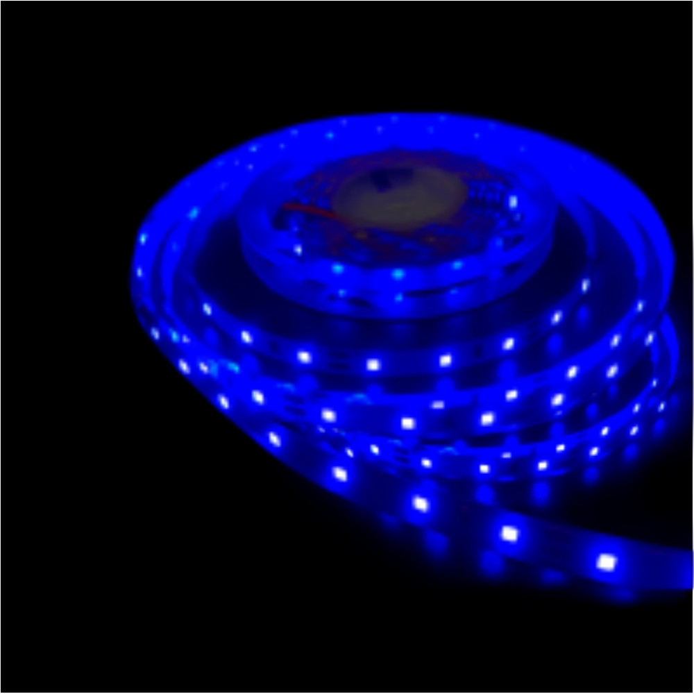 LS01-00106 LAMBARIO-ECOLINE-4.8W-60LED-2835-BLU-12VDC-IP20-LED STRIP LIGHT