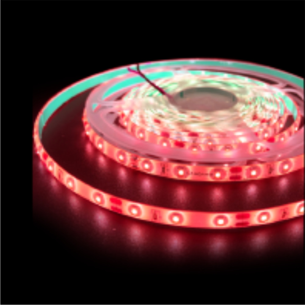 LS01-00204 LAMBARIO-ECOLINE-4.8W-60LED-2835-RED-12VDC-IP54-LED STRIP LIGHT