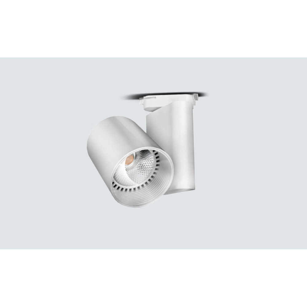 LD30-02030 LAMBARIO-SHOPLINE-P-20W-COB-WHT-6000K F577