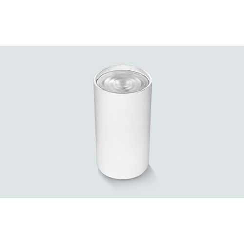 LH06-10200 LAMBARIO-TUBO-WHT-GU10-100MM-CYLSURF-LIGHTING FIXTURE F712