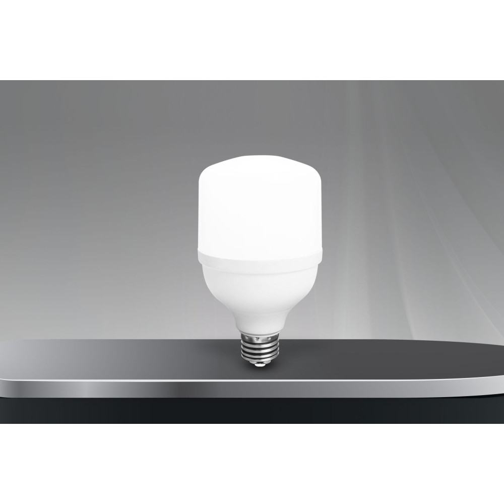 20W TORCH AMPUL 6400K-FERLED