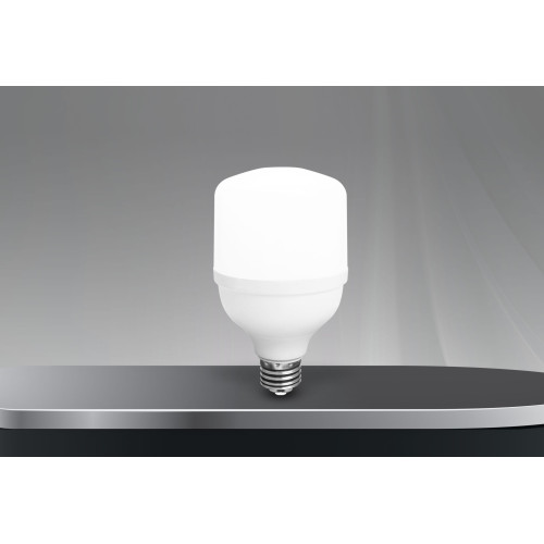 20W TORCH AMPUL 6400K-FERLED 20W TORCH AMPUL 6400K-FERLED