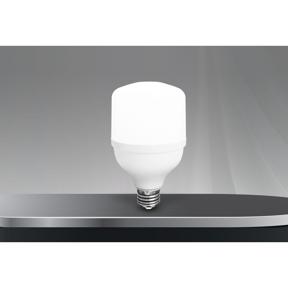30W TORCH AMPUL 6400K-FERLED 30W TORCH AMPUL 6400K-FERLED