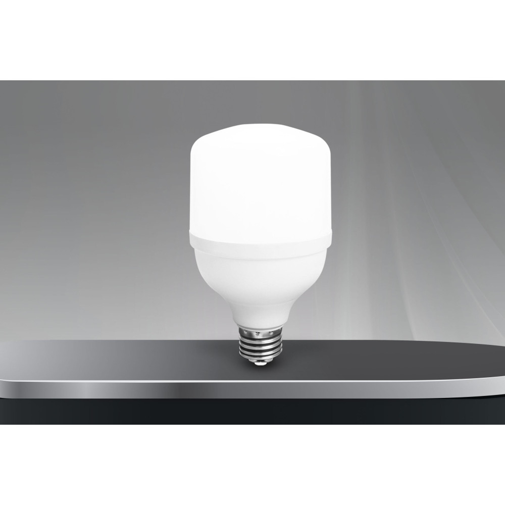 40W TORCH AMPUL 6400K-FERLED
