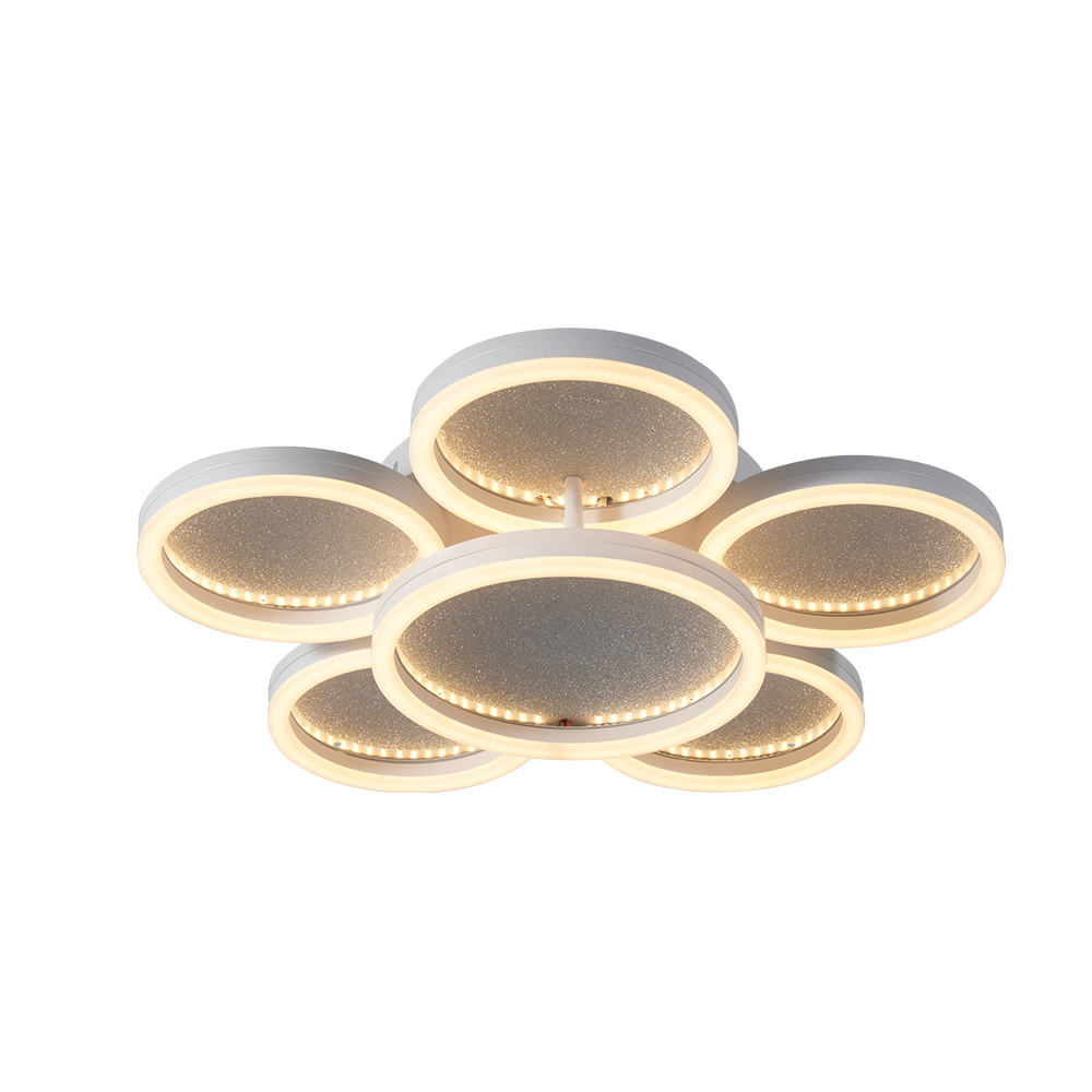 B05-269